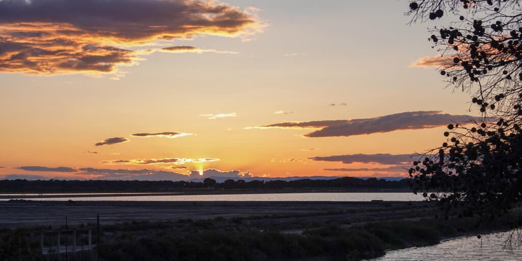 Aigues-Mortes, Camargue