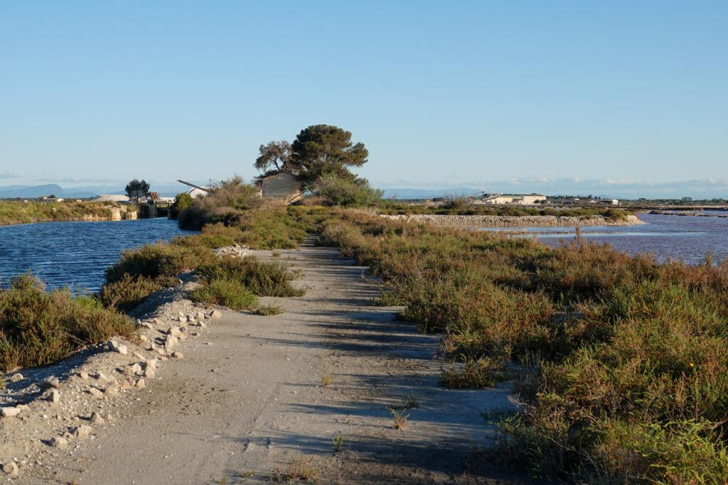 Aigues-Mortes, Camargue