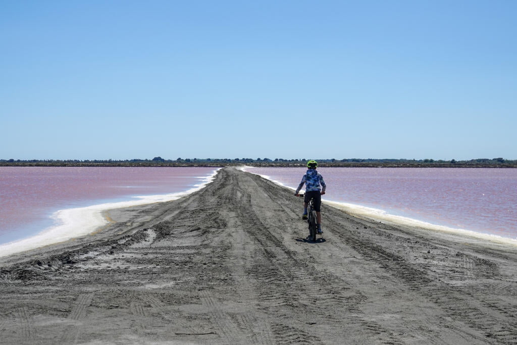 Aigues-Mortes, Camargue