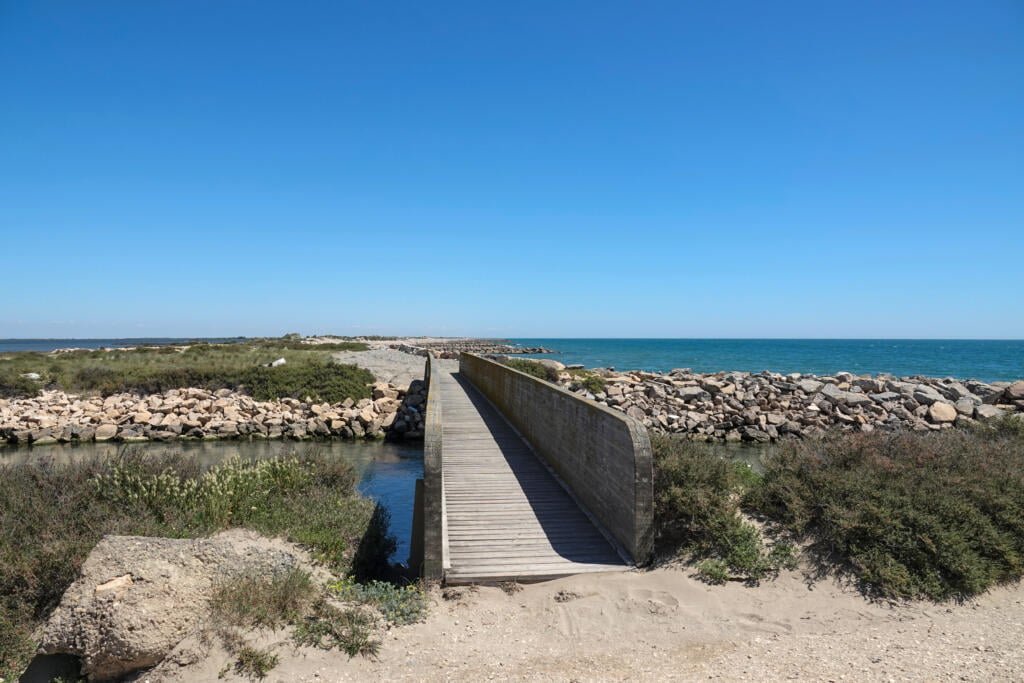 Aigues-Mortes, Camargue