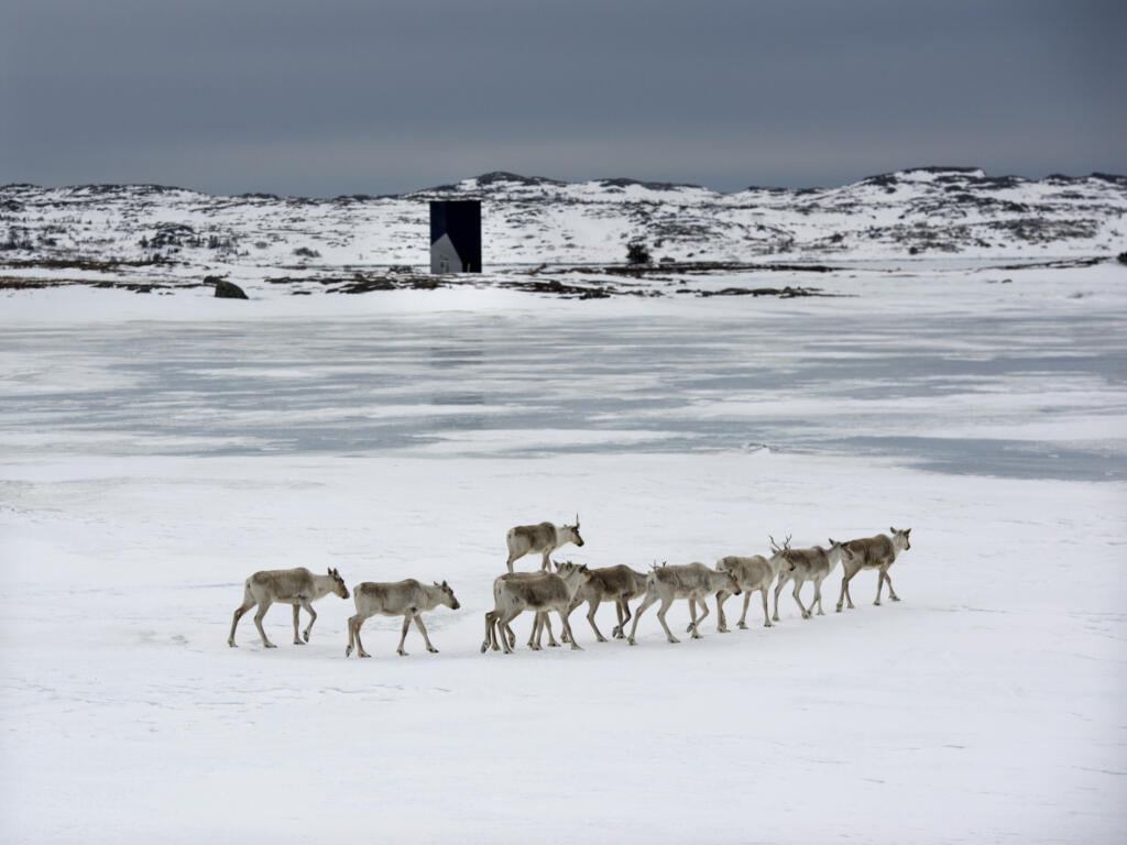 Fogo Island