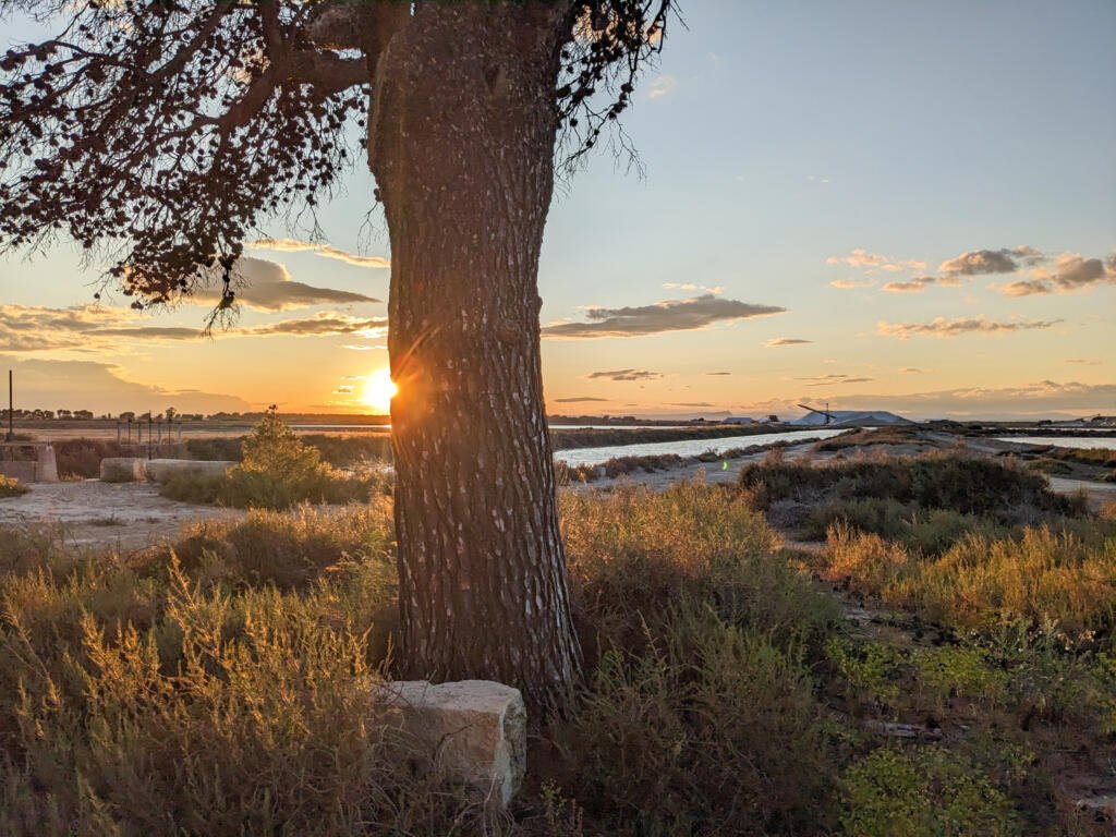 Aigues-Mortes, Camargue