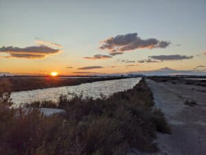 Aigues-Mortes, Camargue