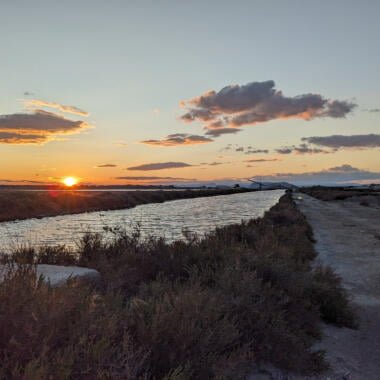 Aigues-Mortes, Camargue