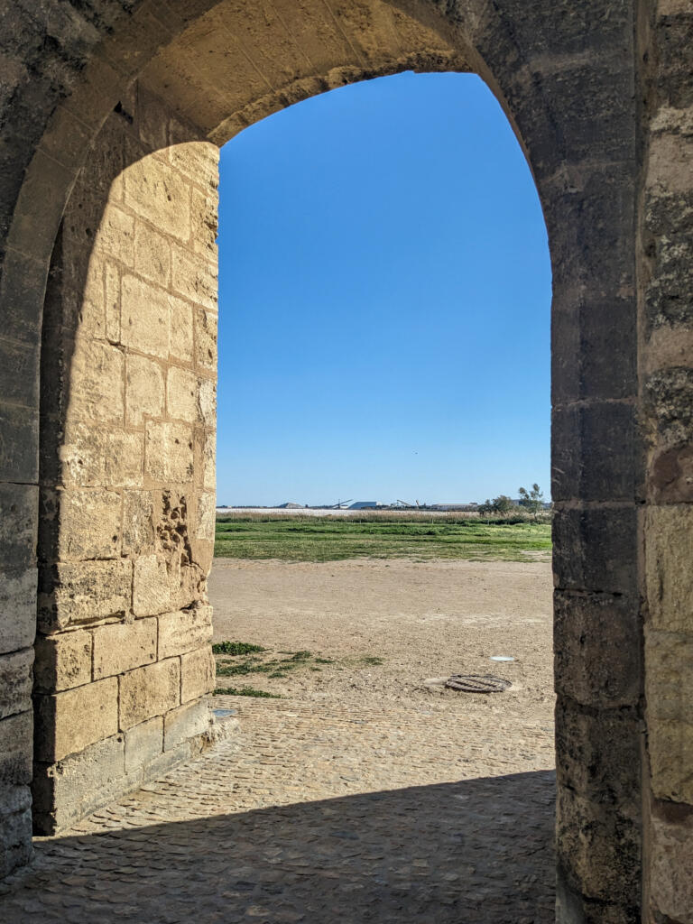 Aigues-Mortes, Camargue