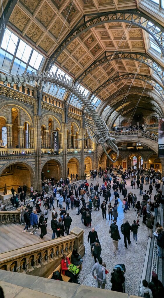 Natural History Museum, London