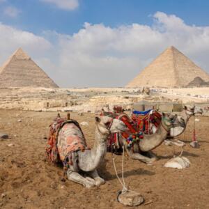 Égypte : Incontournables en famille