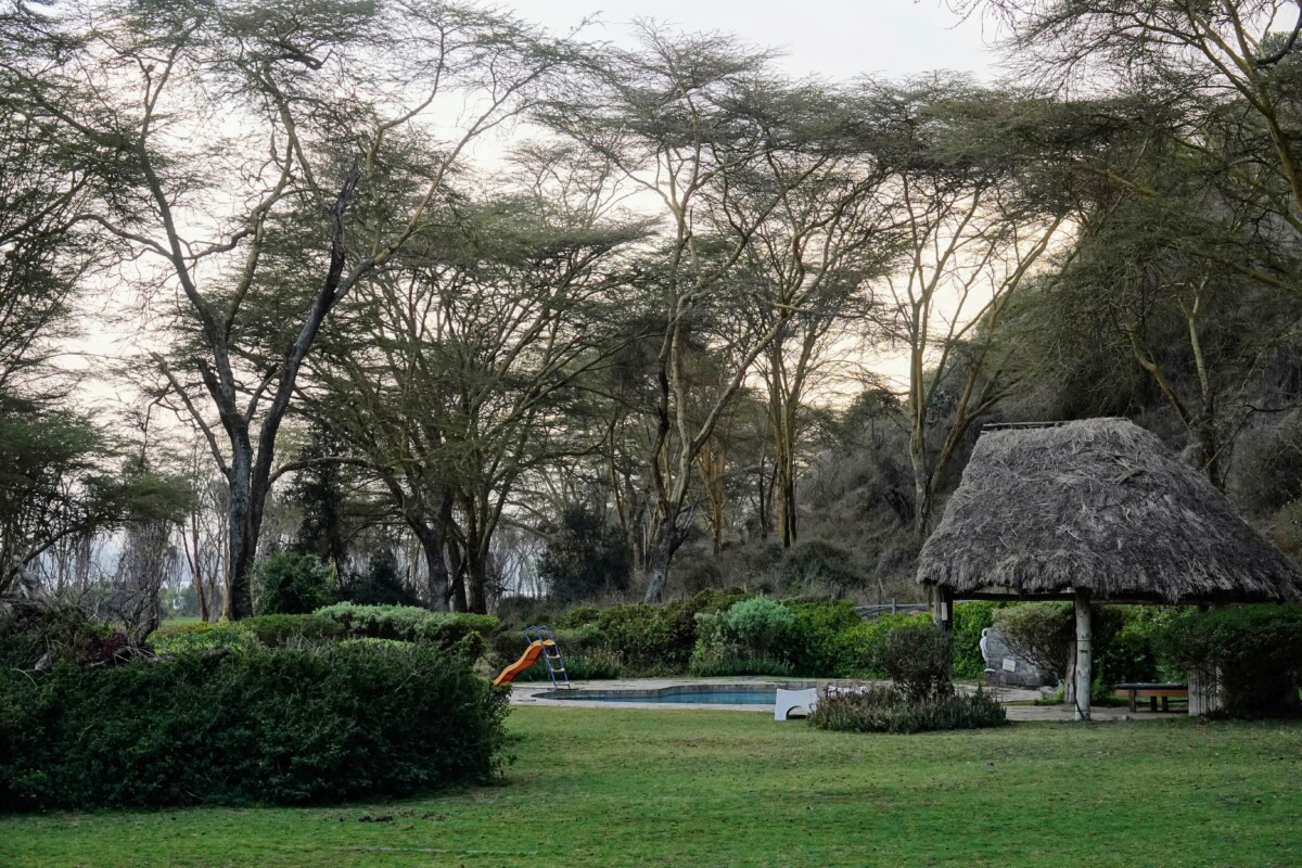 Kenya : Safari en famille et détente à Watamu – Image 6