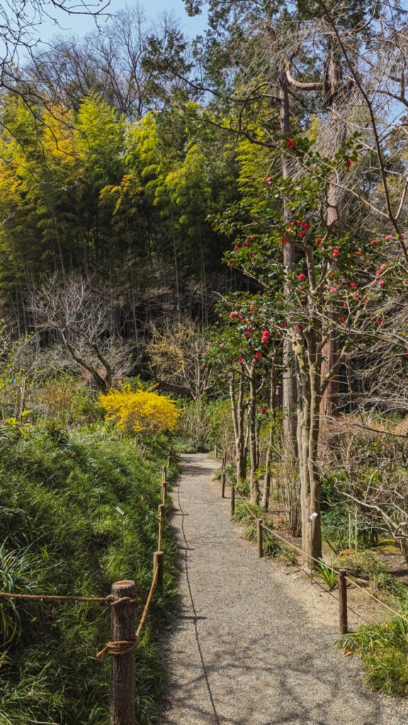 Kaizō-ji, Kamakura, Japan