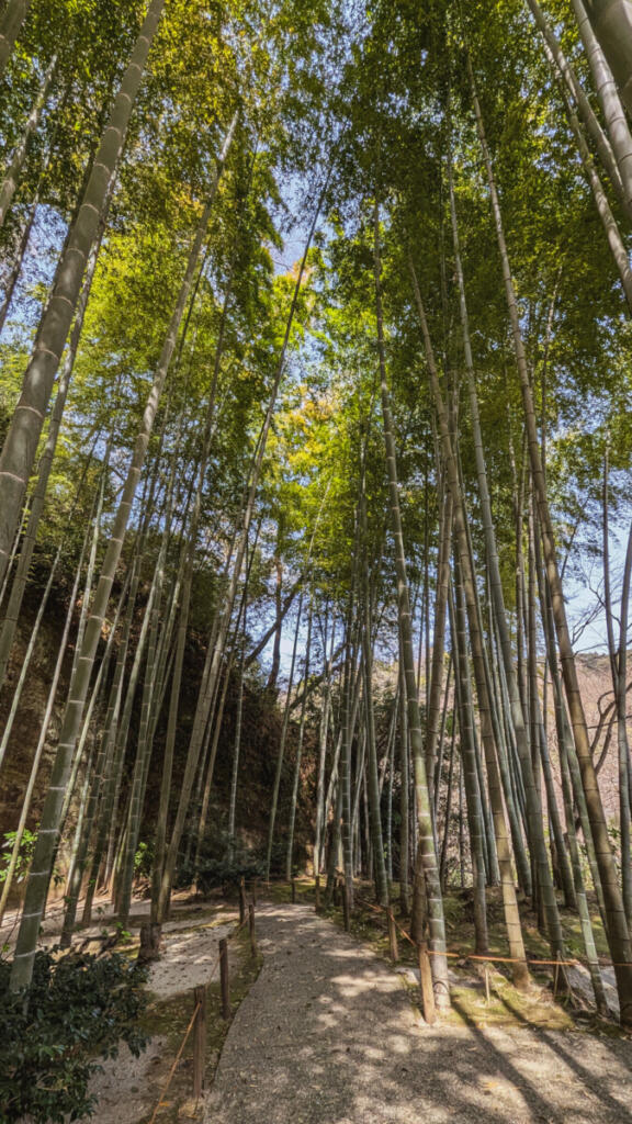 Kaizō-ji, Kamakura, Japan