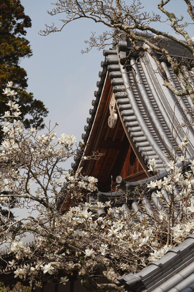 Kenchō-ji, Kamakura, Japan