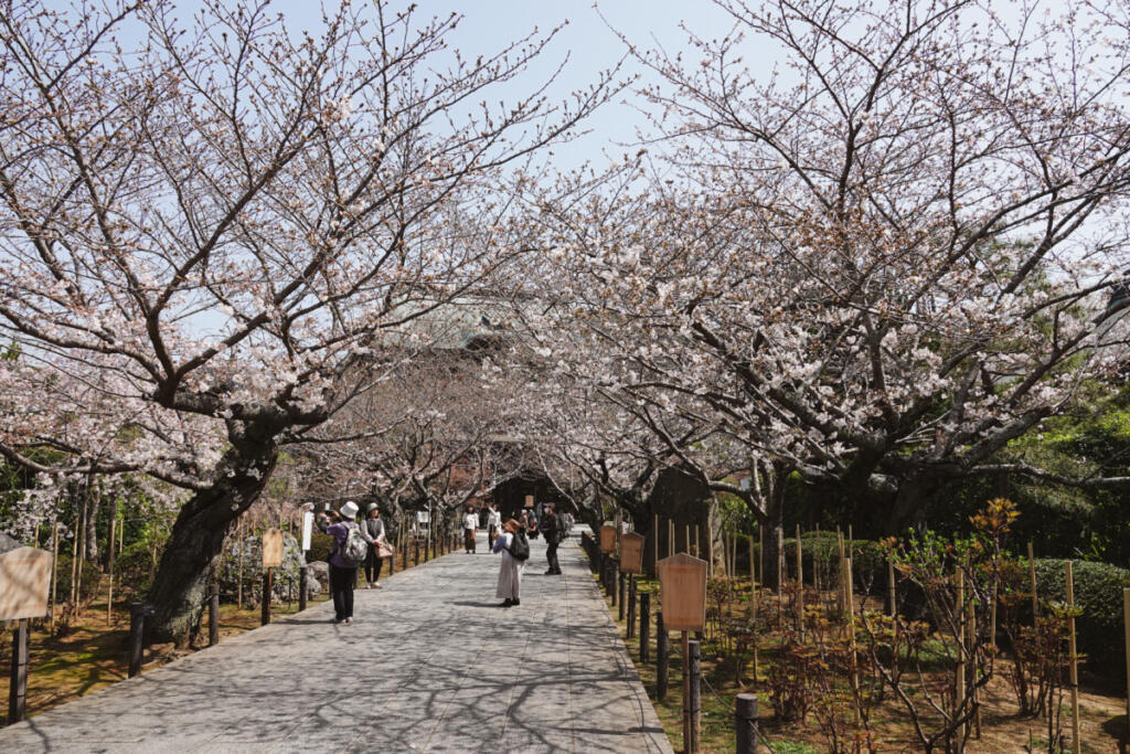 Kenchō-ji, Kamakura, Japan