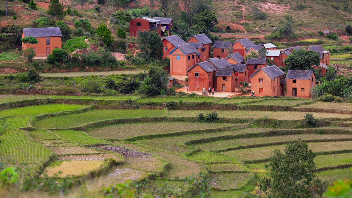 Madagascar : des Hautes Terres aux lagons du Sud – Image 3