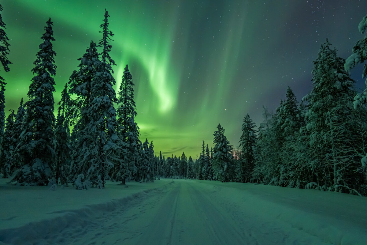 Laponie : Aurores boréales et aventures en famille au cœur du Grand Nord – Image 7