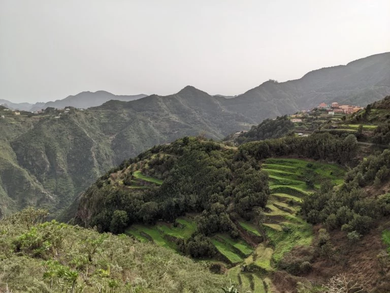 Tenerife as a family: nature, ocean and the good life - Image 6