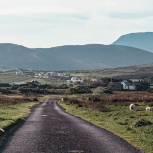 Ireland with your family: castles, nature and the Atlantic coast