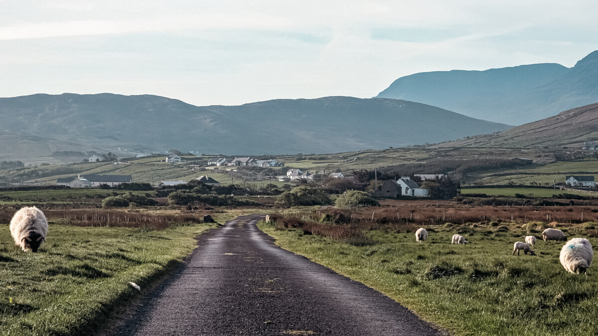 Ireland with your family: castles, nature and the Atlantic coast