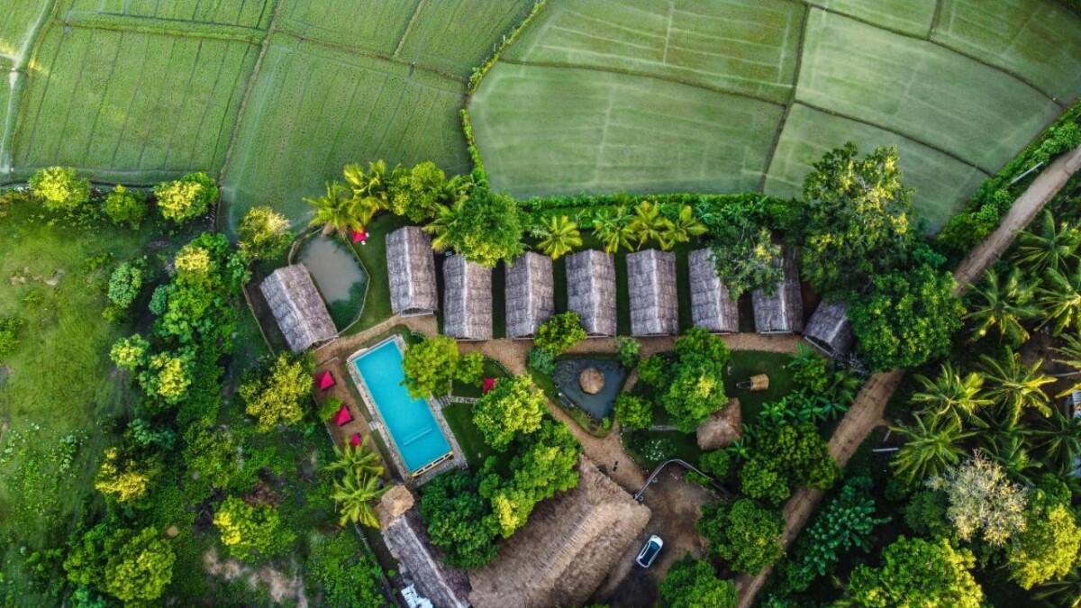 Sri Lanka & Maldives : nature, culture et lagons turquoise – Image 10