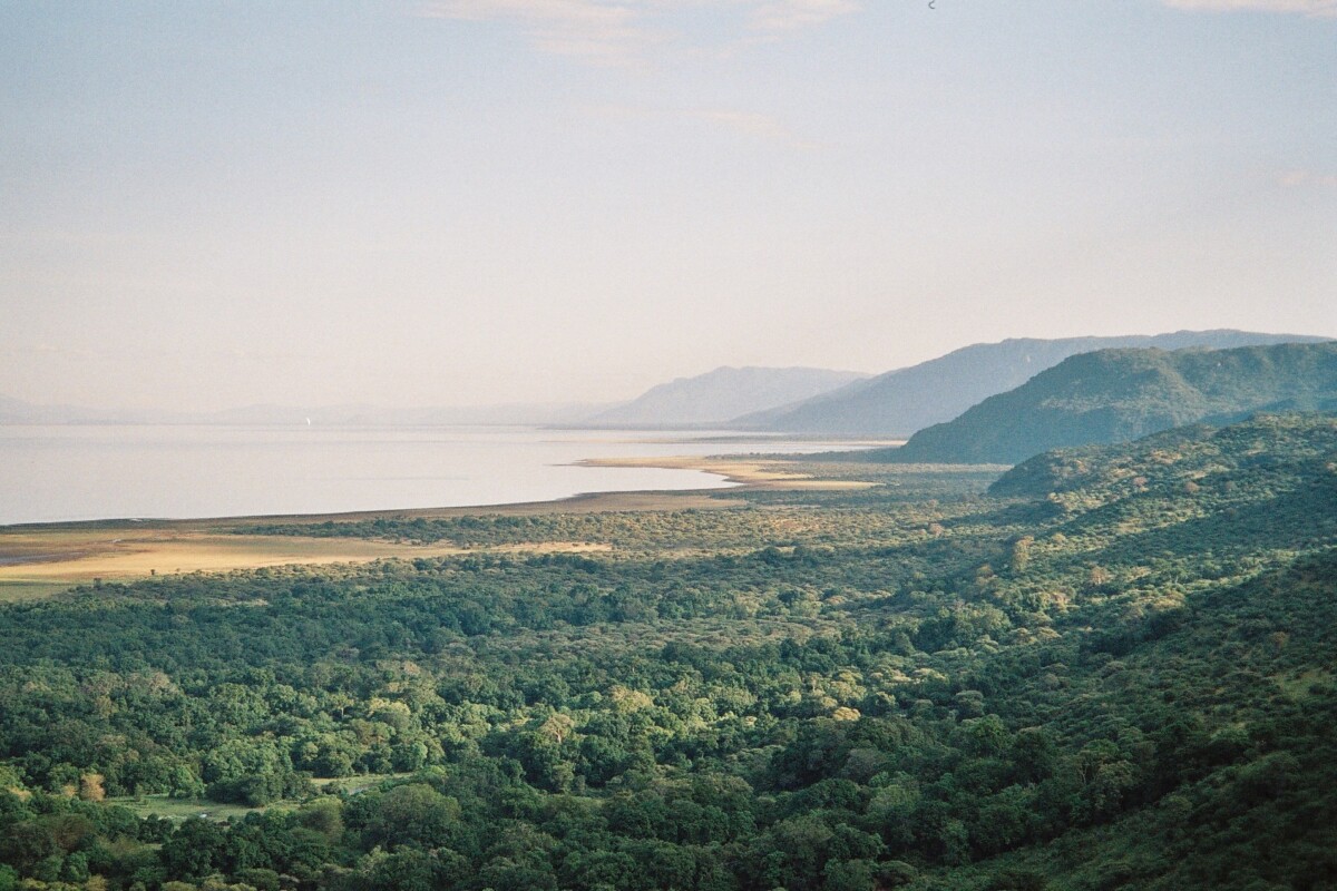 Tanzanie Express : Safari intense au cœur de la savane africaine – Image 2