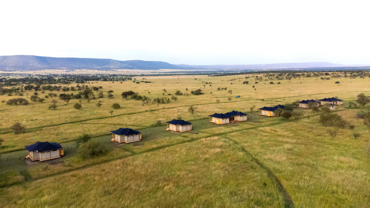 Tanzanie Express : Safari intense au cœur de la savane africaine – Image 8