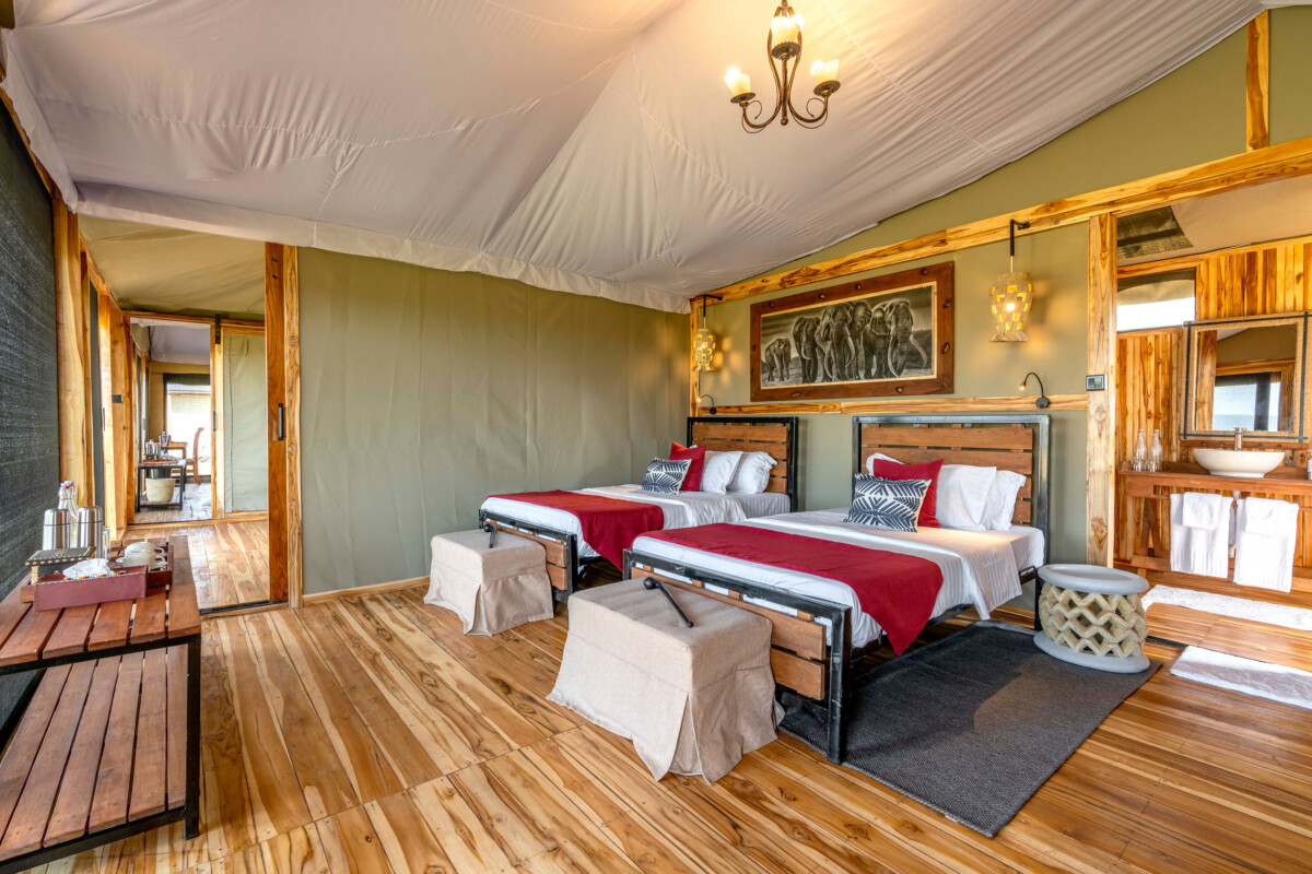 Tanzanie Express : Safari intense au cœur de la savane africaine – Image 9