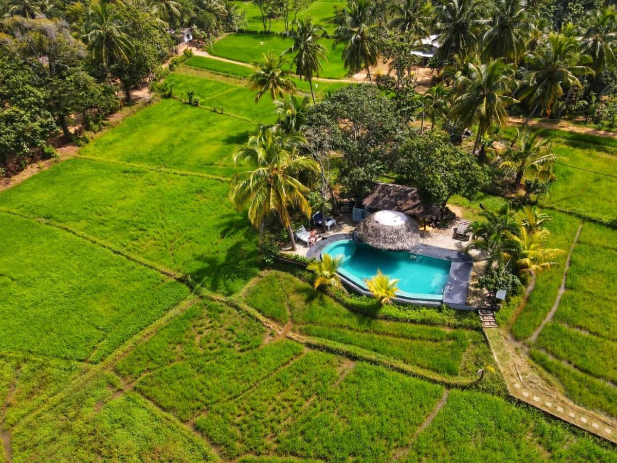 Sri Lanka & Maldives : nature, culture et lagons turquoise – Image 6