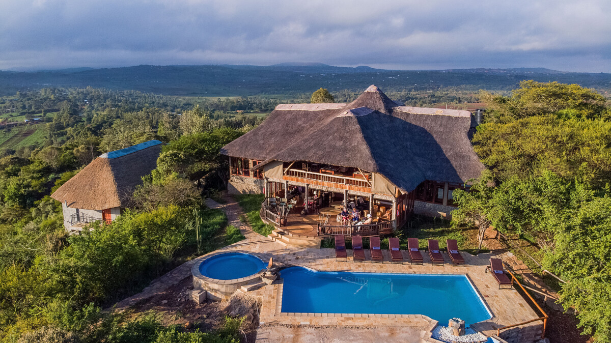 Tanzanie Express : Safari intense au cœur de la savane africaine – Image 5