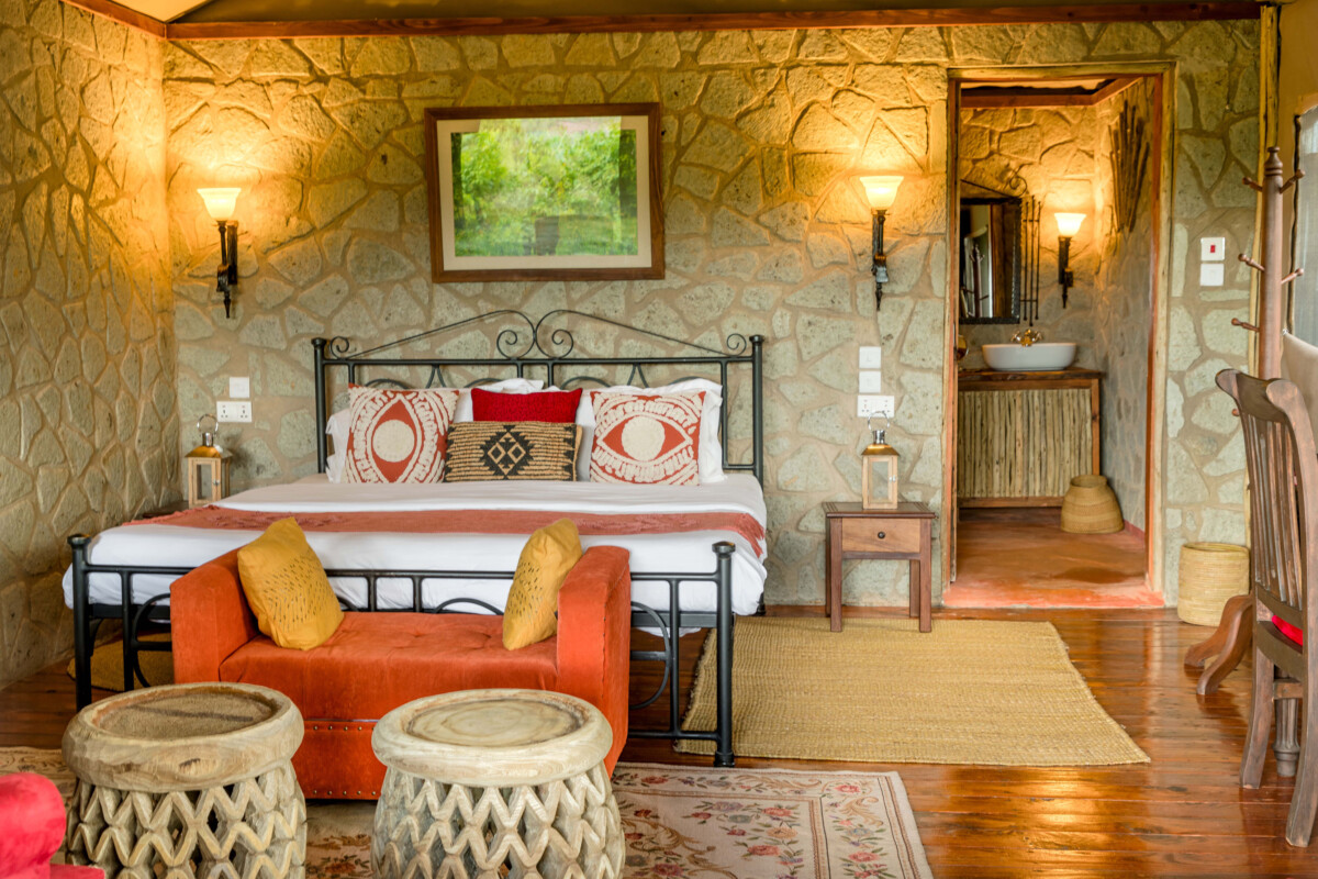 Tanzanie Express : Safari intense au cœur de la savane africaine – Image 6