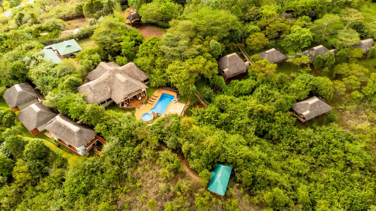 Tanzanie Express : Safari intense au cœur de la savane africaine – Image 3