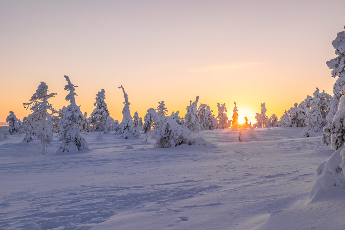 Laponie : Aurores boréales et aventures en famille au cœur du Grand Nord – Image 5