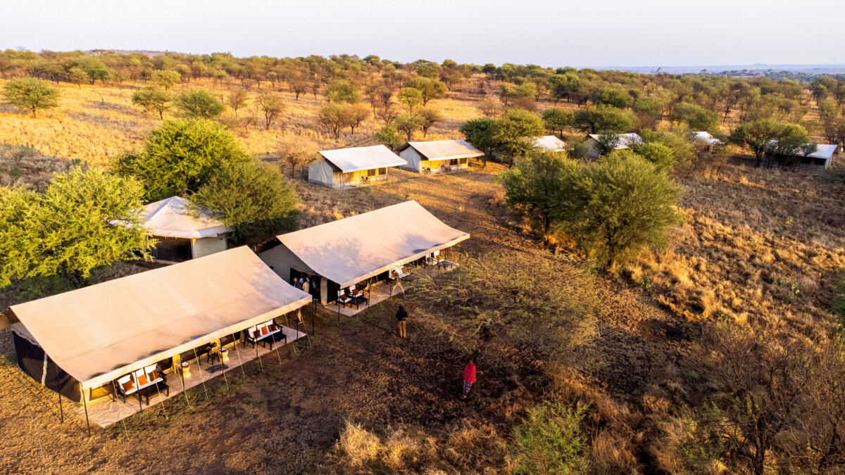 Tanzanie & Zanzibar : Safari d’exception et farniente sur l’île aux épices – Image 8