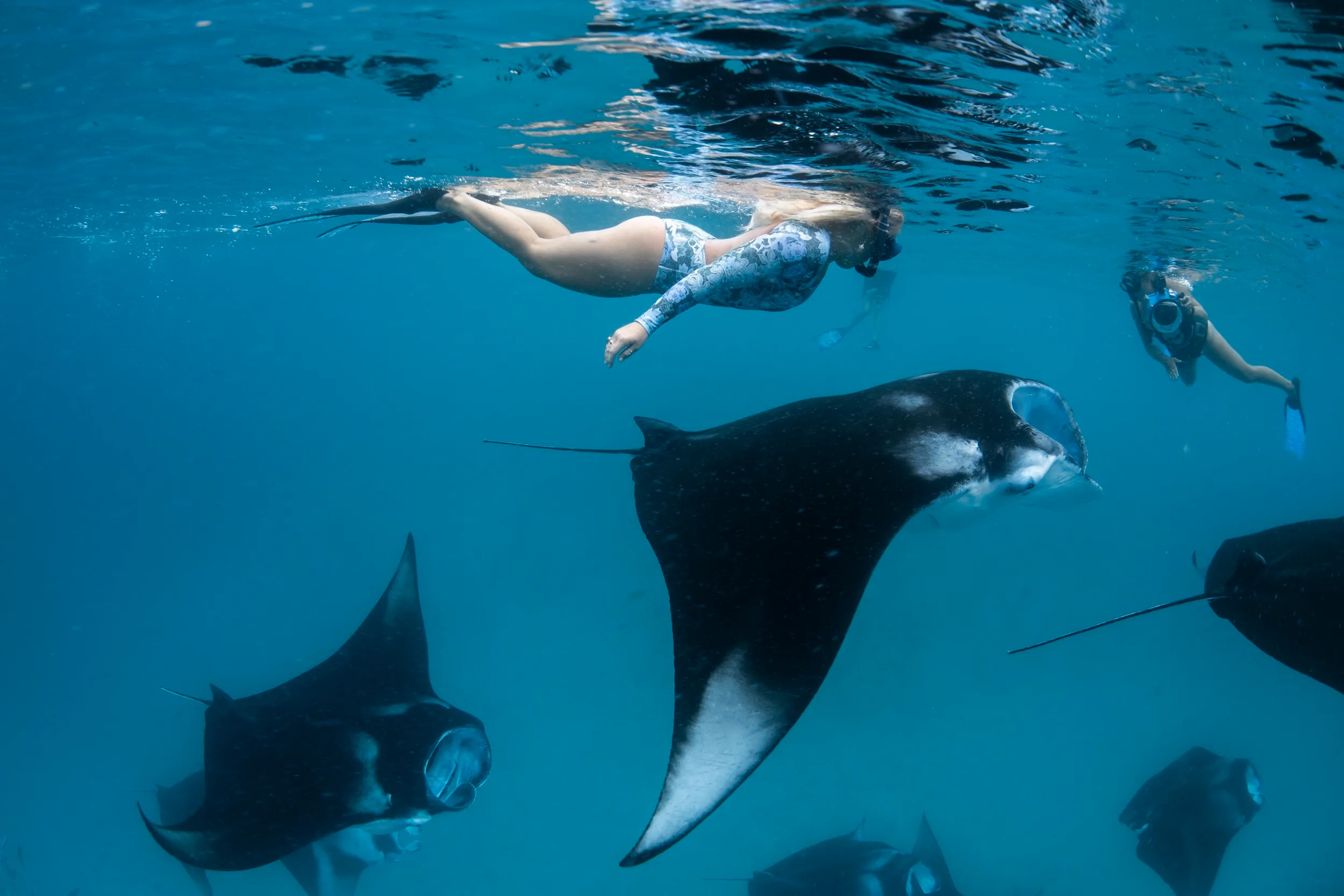 Sri Lanka & Maldives : nature, culture et lagons turquoise – Image 15