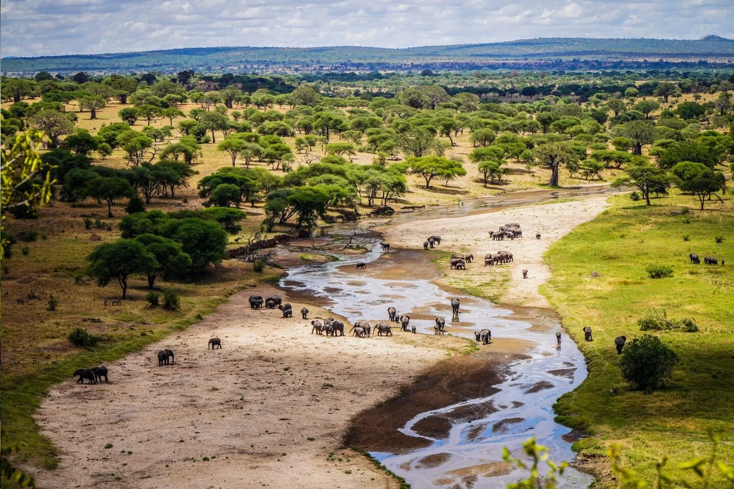 Tanzanie Express : Safari intense au cœur de la savane africaine – Image 7