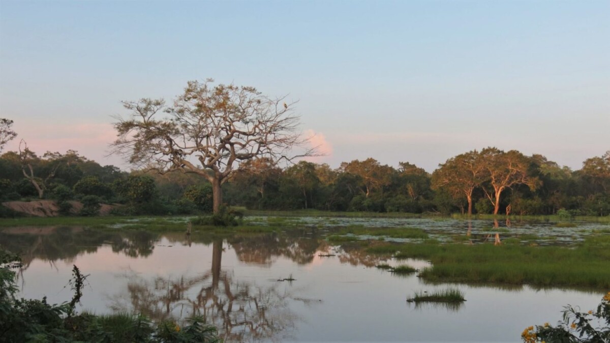 Sri Lanka & Maldives : voyage d’exception entre héritage et lagons privés – Image 5