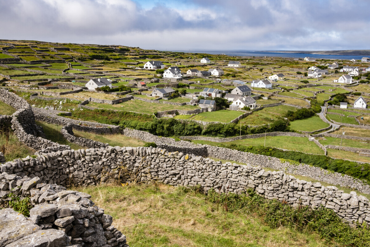 Ireland with your family: castles, nature and the Atlantic coast - Image 6