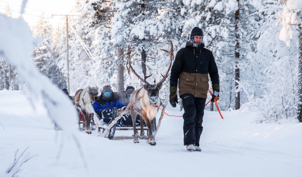 Lapland Exclusive Escape: Arctic Luxury & Northern Serenity - Image 4