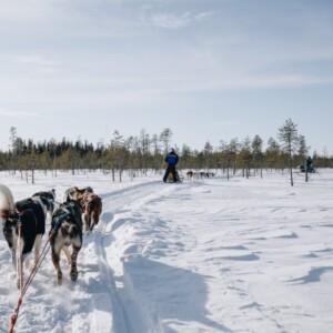 Lapland Family Escape: Northern Lights & Arctic Adventures