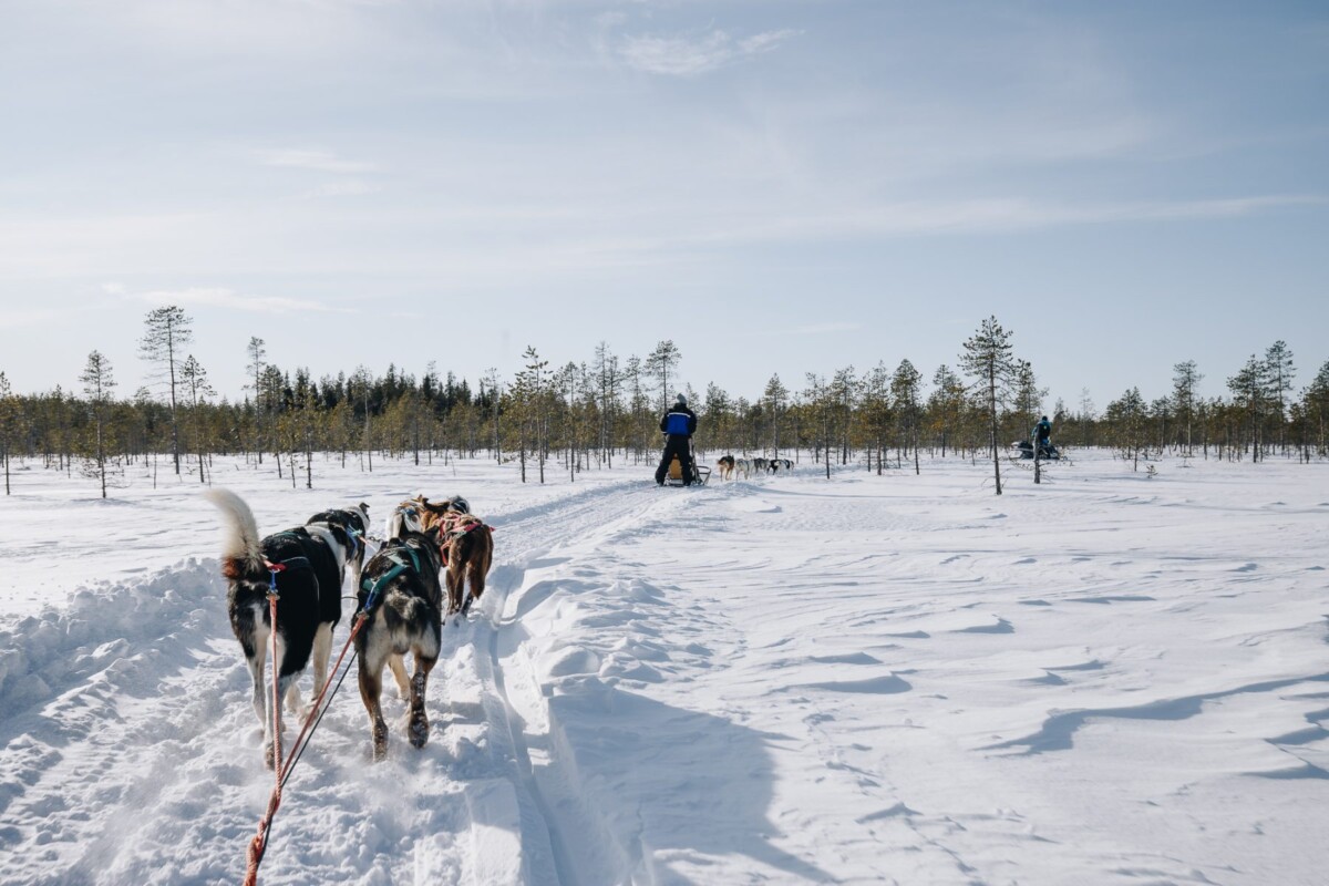 Laponie : Aurores boréales et aventures en famille au cœur du Grand Nord
